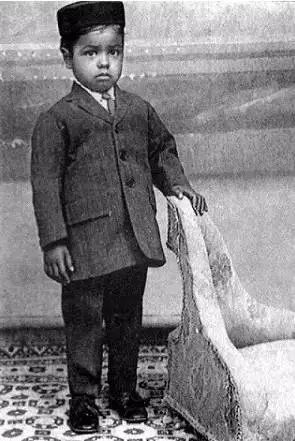 20岁就得出诺奖,20岁诺贝尔文学奖