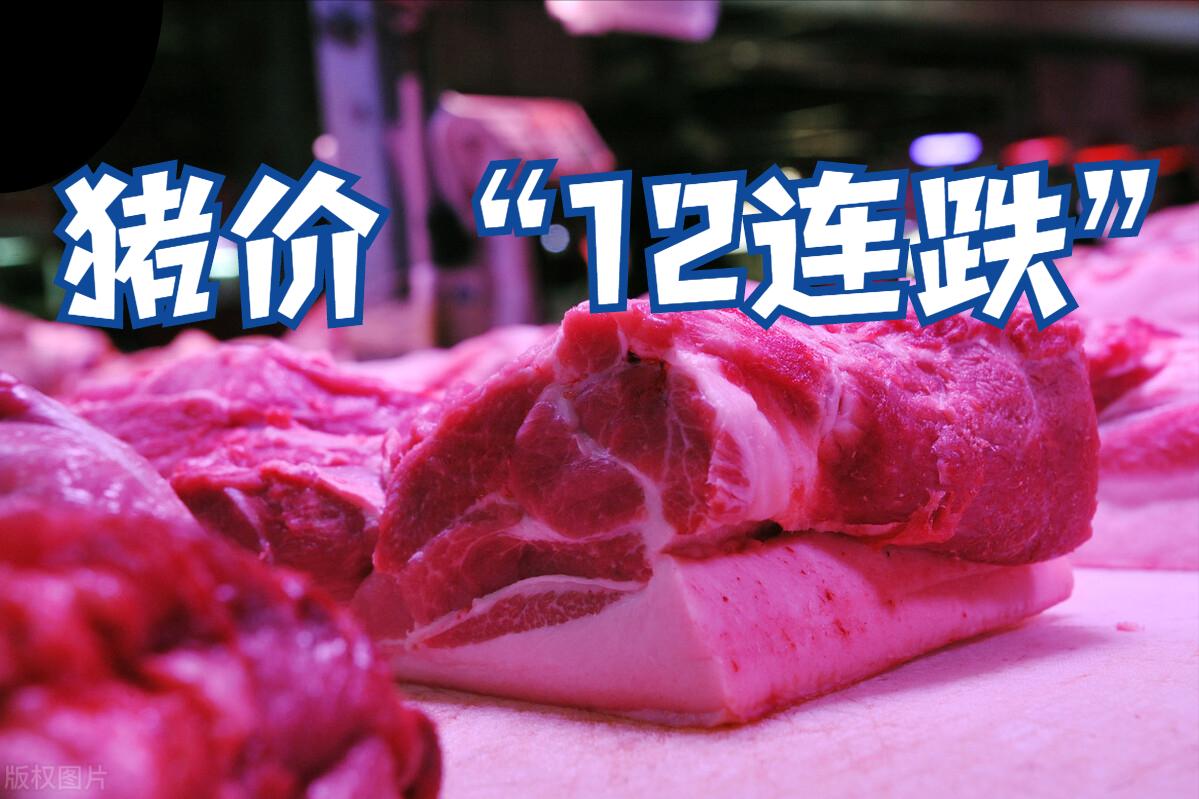 养猪2015-2017年利润有多大,养猪一年养200多头猪能赚多少钱