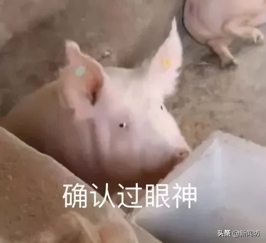 香奈儿兰蔻迪奥买哪个好 (香奈儿和兰蔻迪奥)