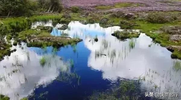 云南十大红色旅游景点都有哪些,云南西双版纳有哪些景点值得去玩