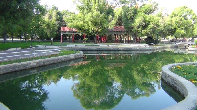 石河子大学在西北大区排名,石河子大学是一所怎么样的大学