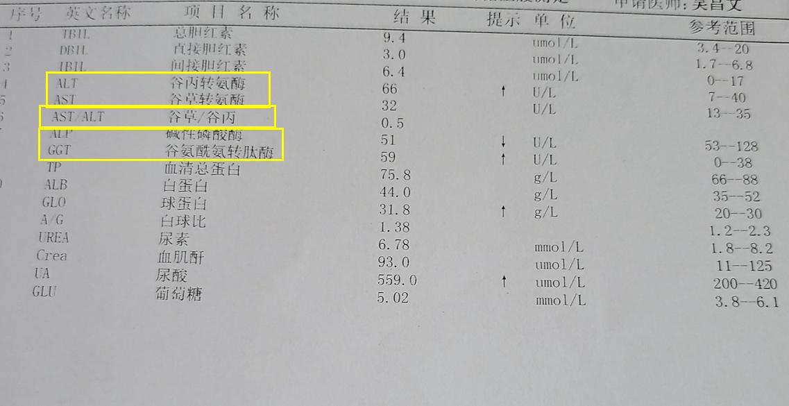 转氨酶正常了彩超提示肝损伤,哪种转氨酶高说明肝损伤严重