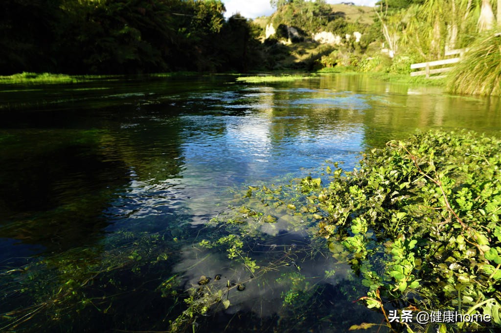 新西兰霍比特人村攻略,新西兰霍比特蓝泉一日游