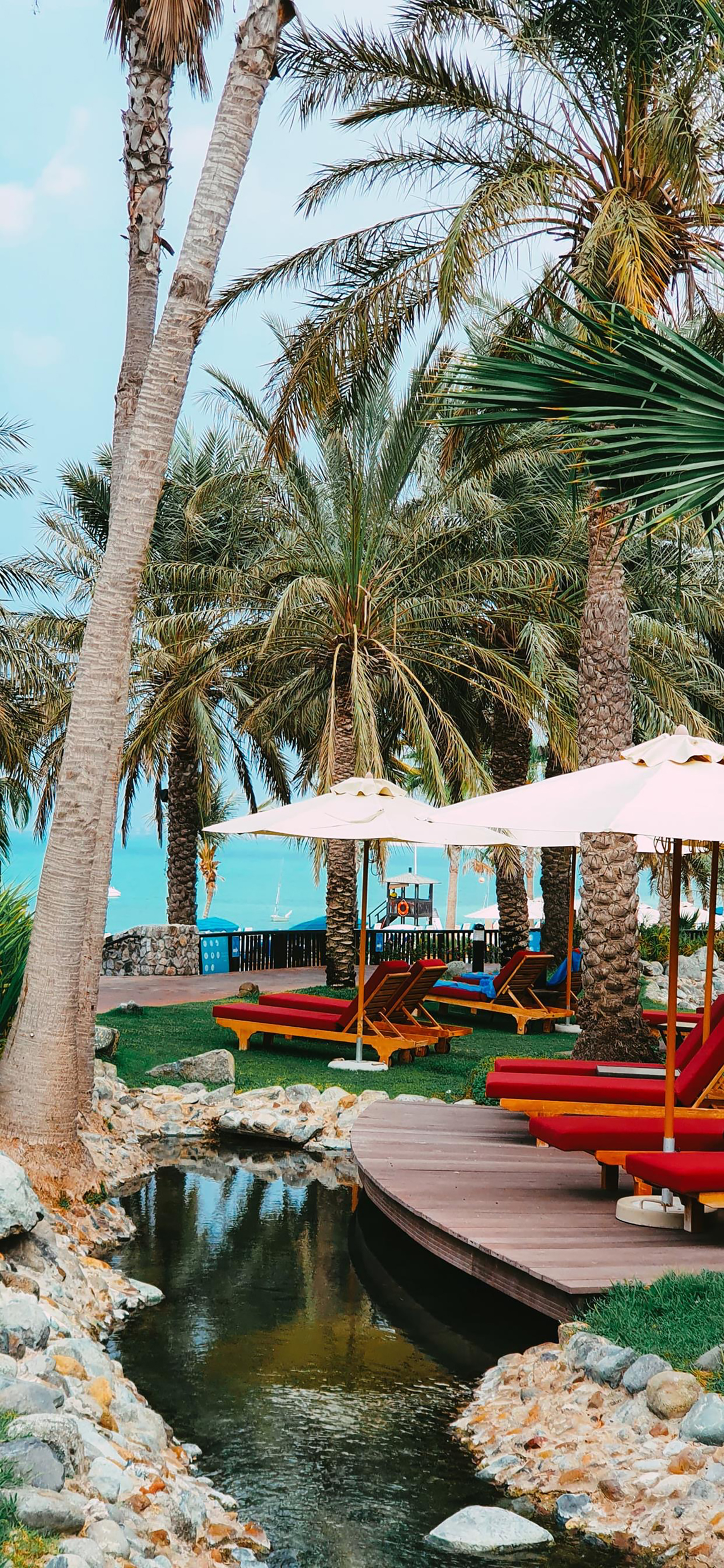 壁纸仙女绿色系护眼壁纸套图,各种高清护眼壁纸