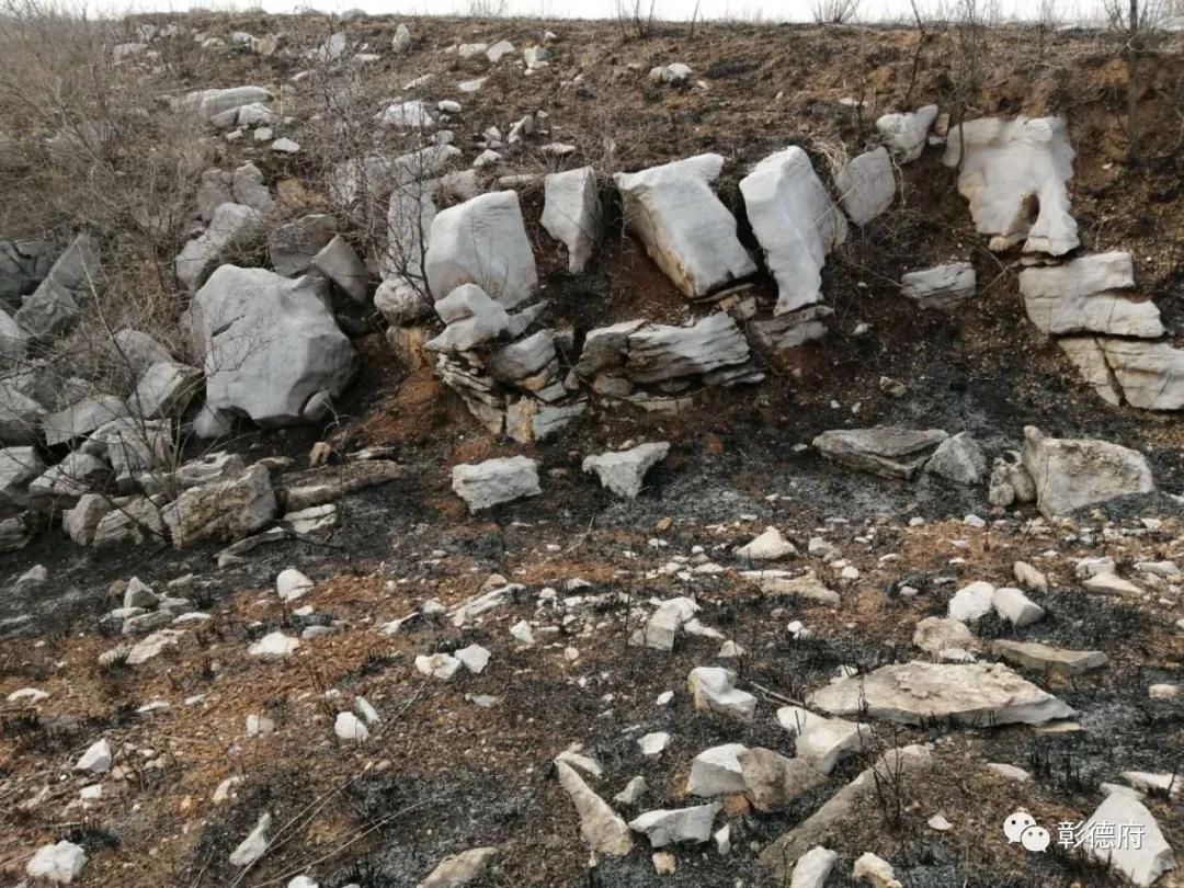 太行山风化石,太行山林石