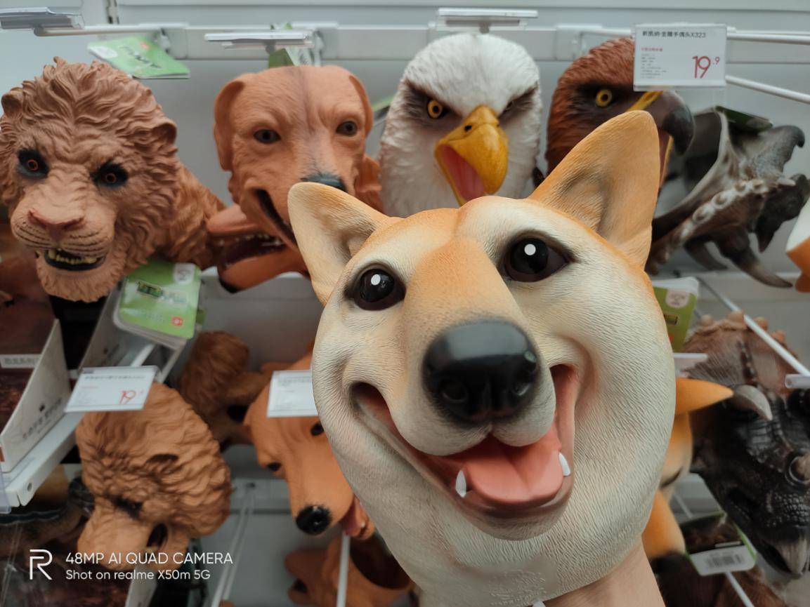 realmex50m5g是什么手机,realmex50m测评