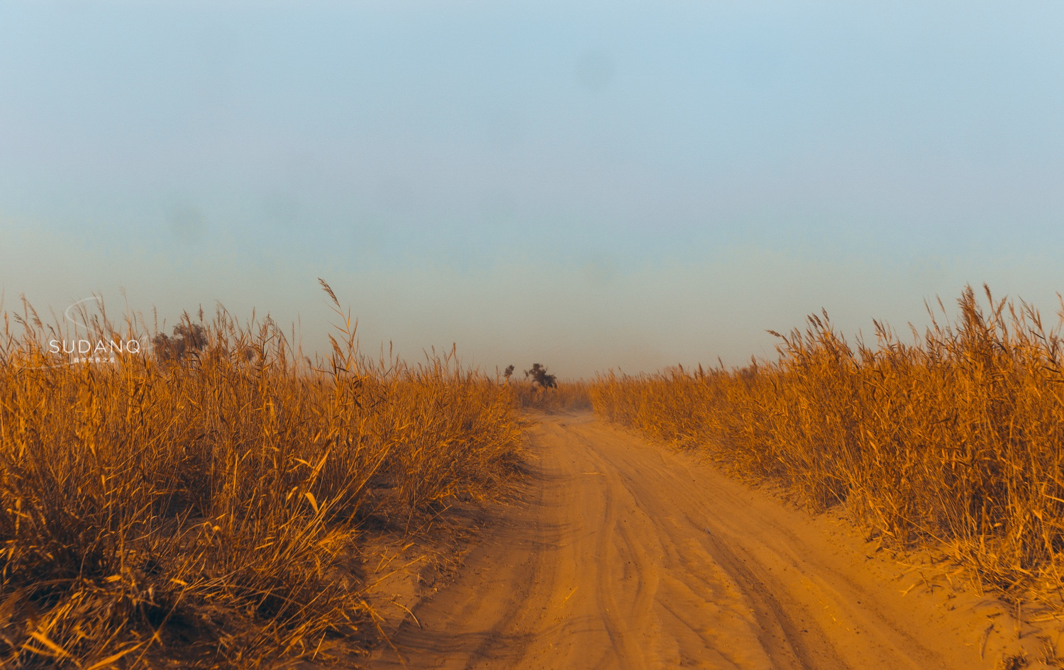 楼兰的消失之谜全集,楼兰古国的消失之谜