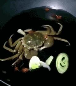 搞笑gif趣图妹子快回头,搞笑gif妹子别躲了已经看见你啦