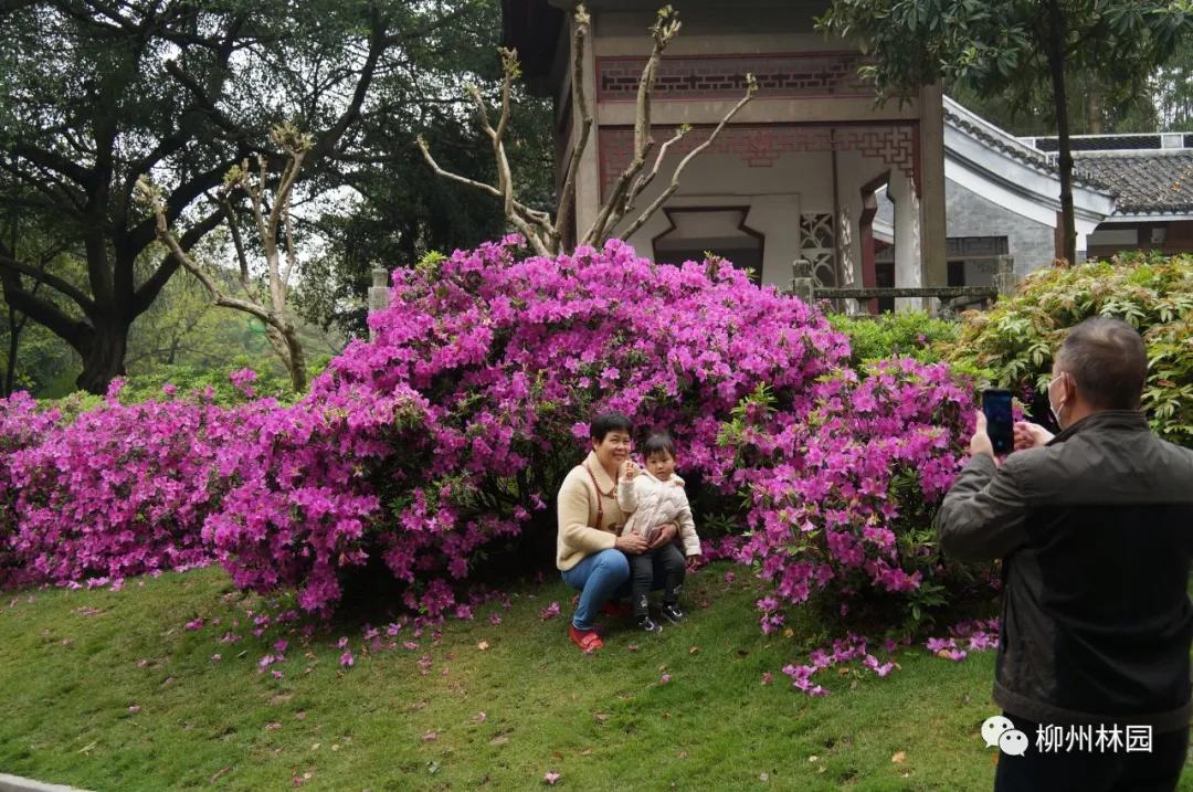 柳州柳侯公园有什么景物,柳州柳侯公园值得打卡