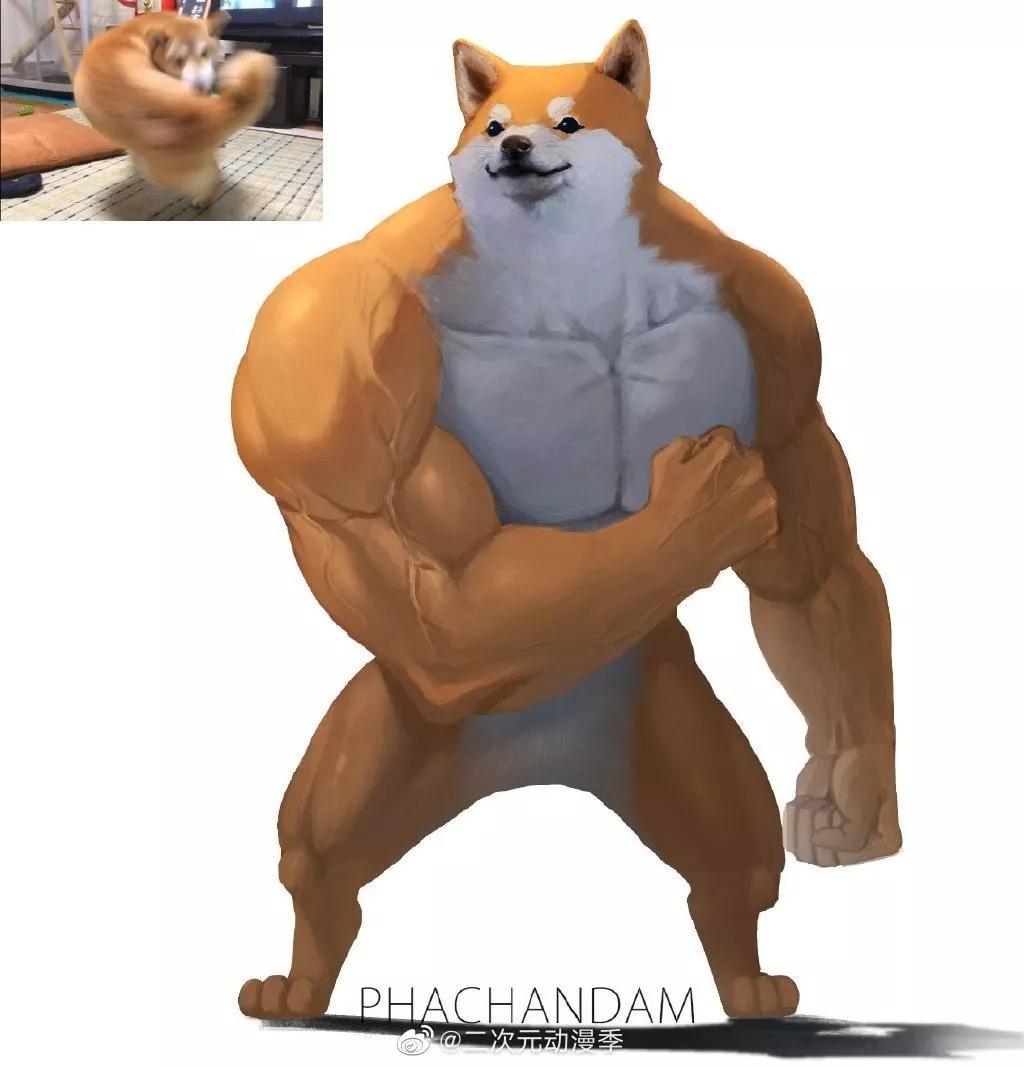 又一位肌肉*男猛**出现了，这个系列永不完结……