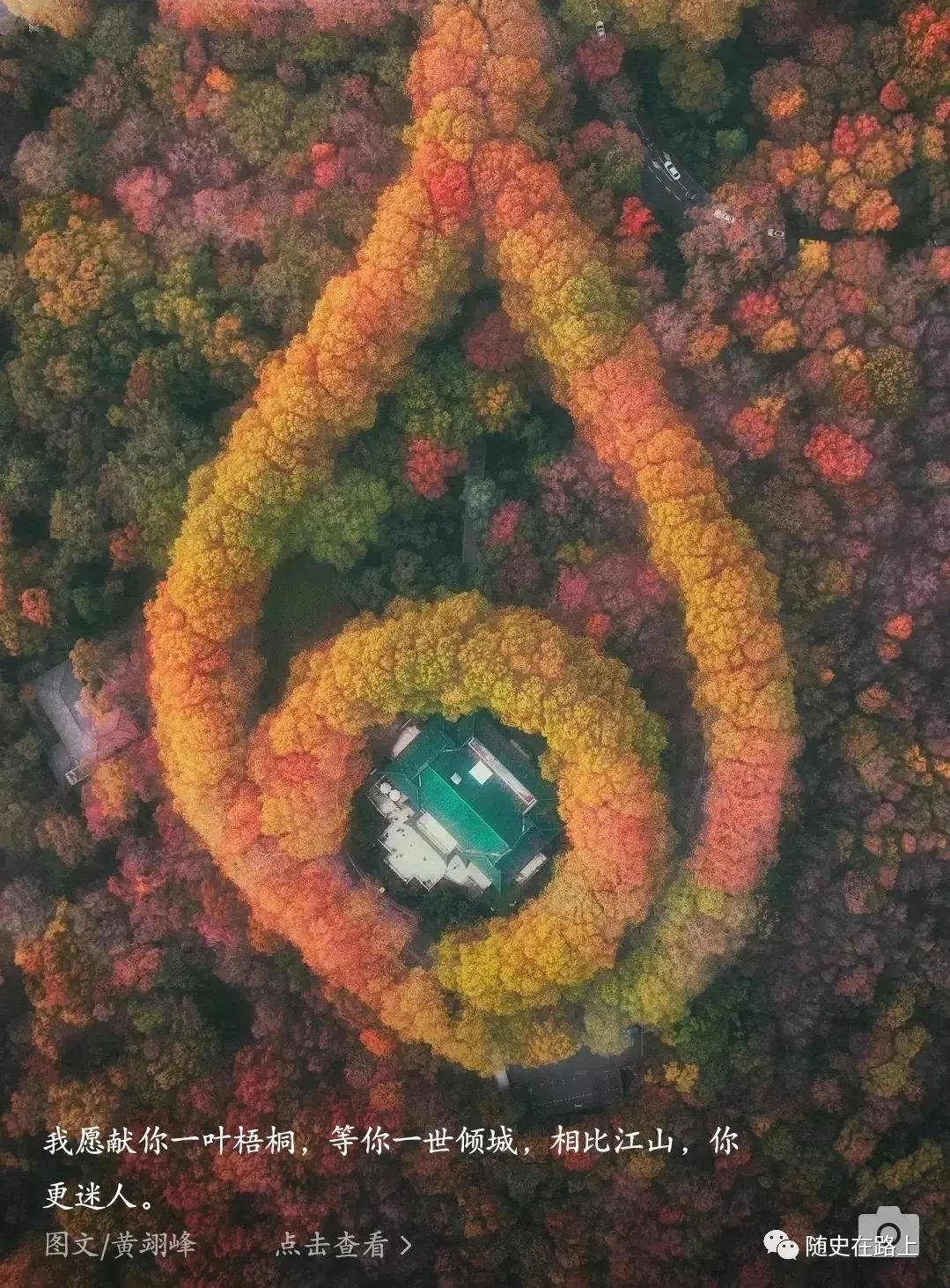 我有一个心愿叫金陵