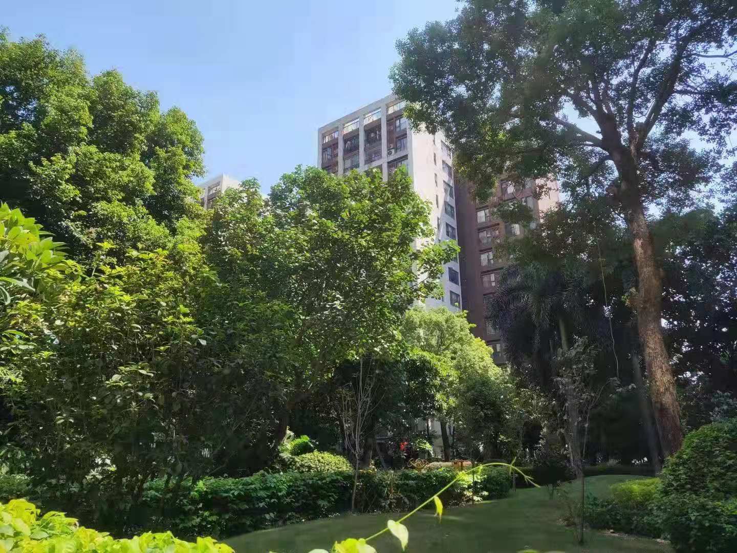 在广州不上班在哪租房,广州租房不通过中介怎么找