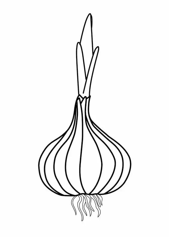 简笔画可爱蔬菜,简笔画简单易学幼儿蔬菜