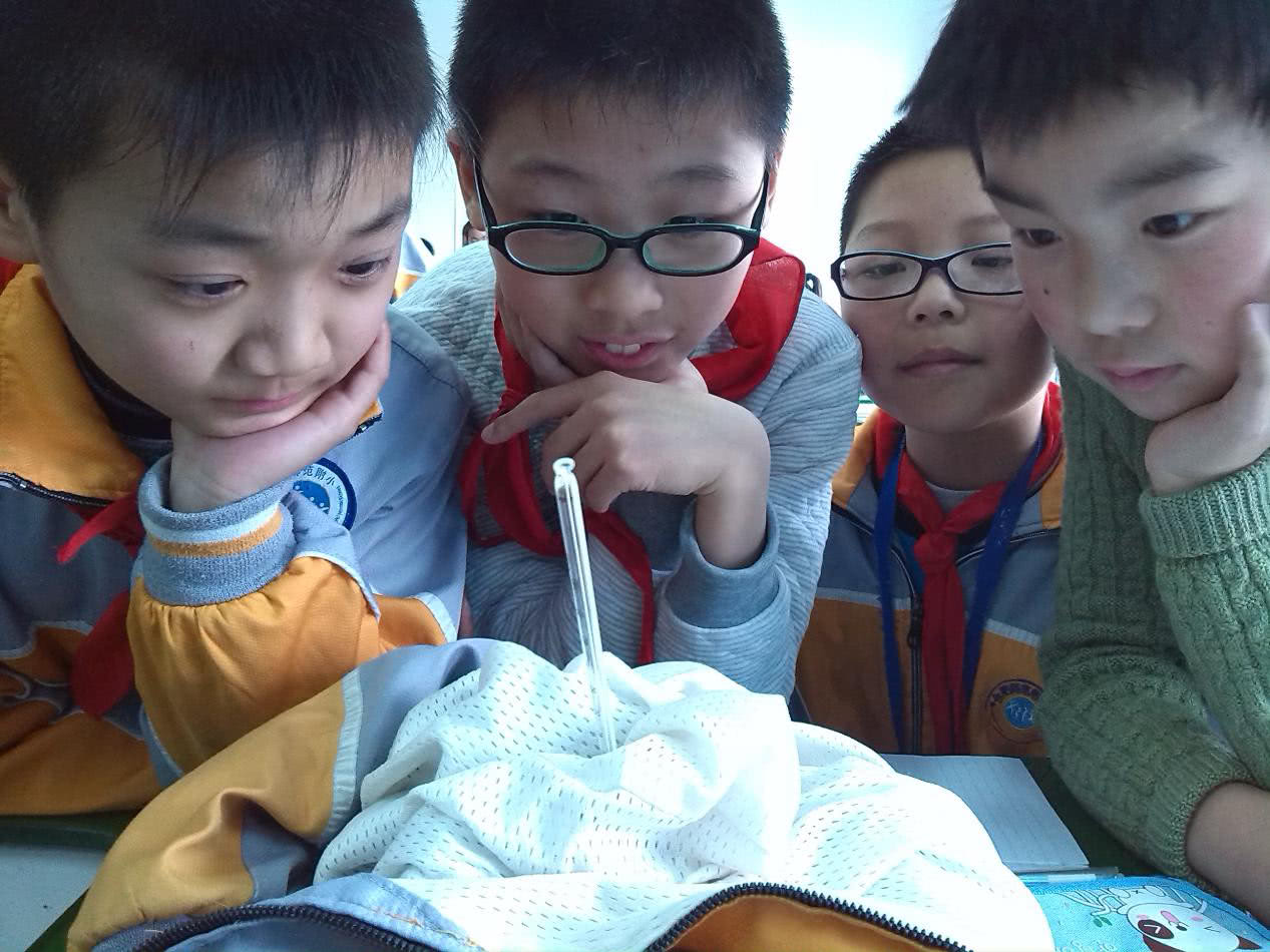 合肥师范附小二小*党**支部书记、校长孙朝莲：怀揣梦想智慧前行