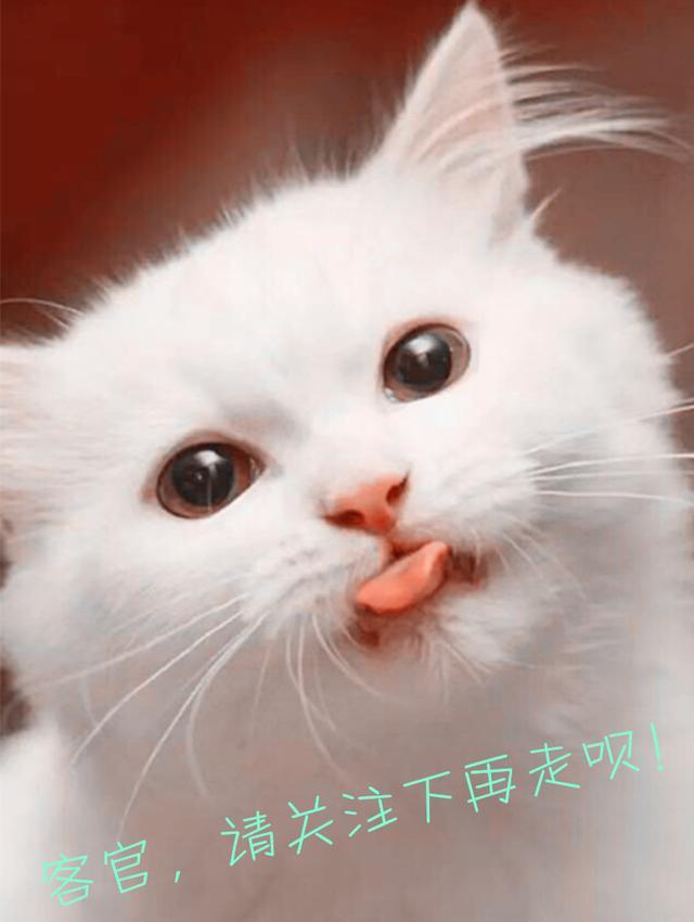 翡翠原石是根据什么开窗的,老缅翡翠原石交易