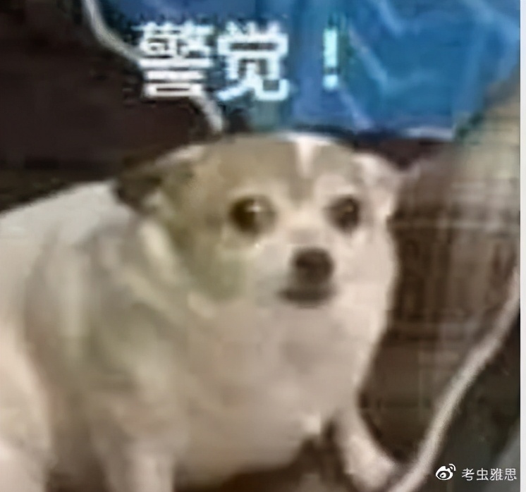 留学被诈骗经历和温馨提醒,留学最新诈骗套路