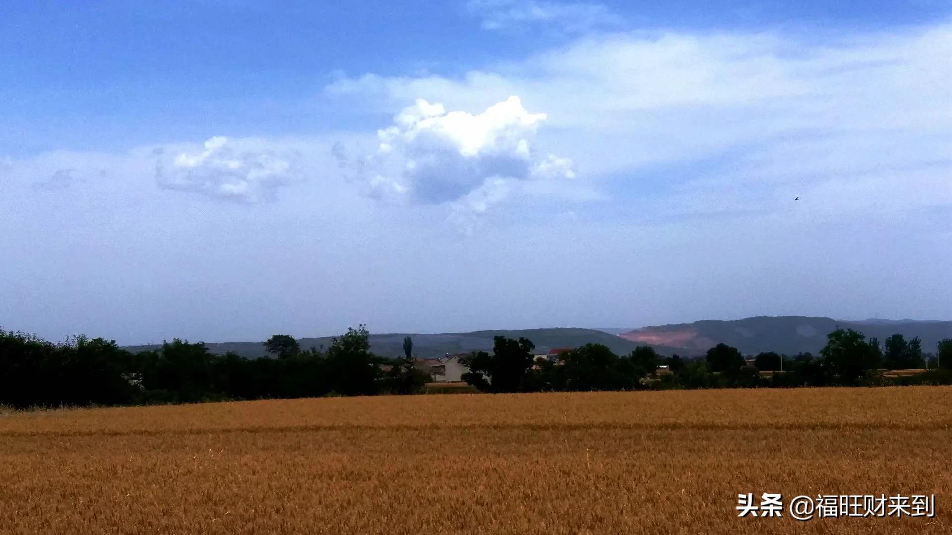 6月5号芒种,2018年6月6日芒种