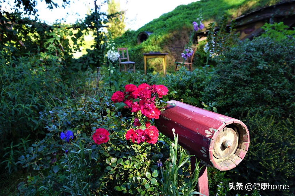 新西兰霍比特人村攻略,新西兰霍比特蓝泉一日游