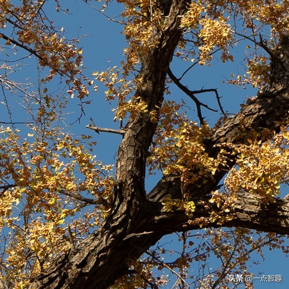 松下16-35f4,松下16-35f4和20-60镜头对比