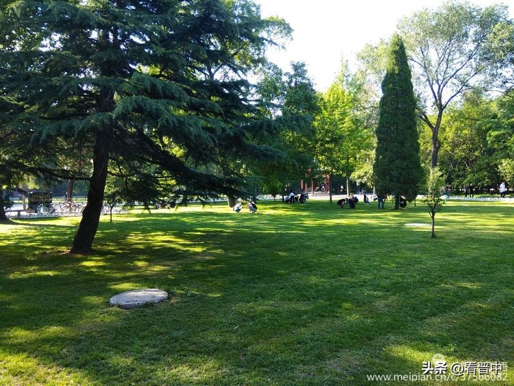 山西农大美丽的校园,山西农大校园风光