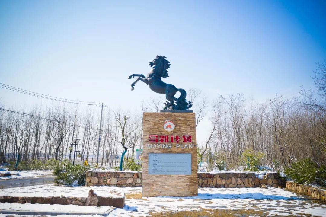 合肥小众风景区,合肥有一处小众景点