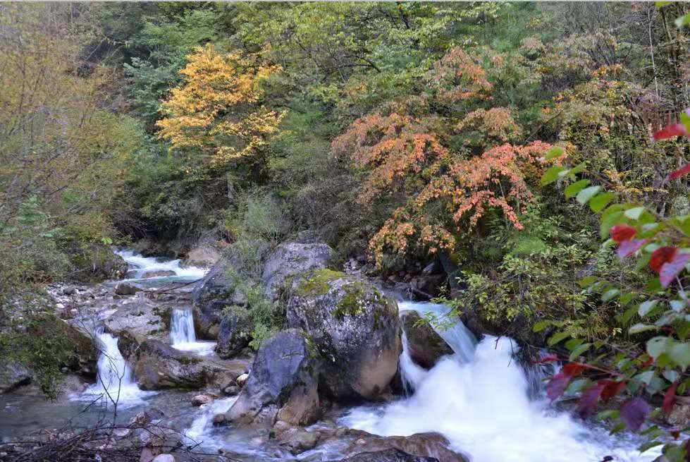 如何做好旅行社计调,旅行社计调如何提高效率