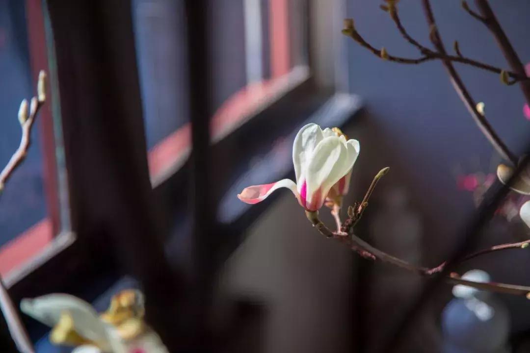 48个容易用错的成语，你肯定用错过