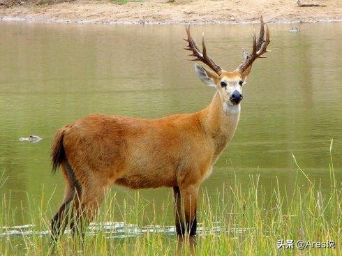 扇贝王骗局揭秘视频,扇贝大王维权记