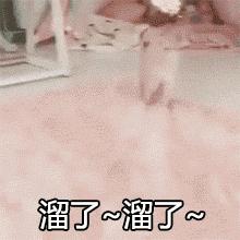 你家小松鼠咬人怎么办？这样处理更有效！