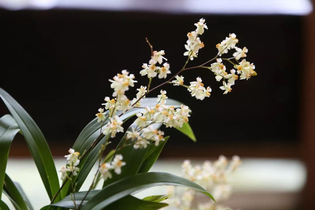 森呼吸运动乐园乘车路线,森呼吸好玩吗