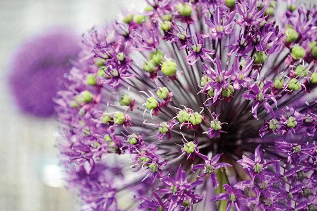 单反拍出特别的照片,单反拍出照片有光斑