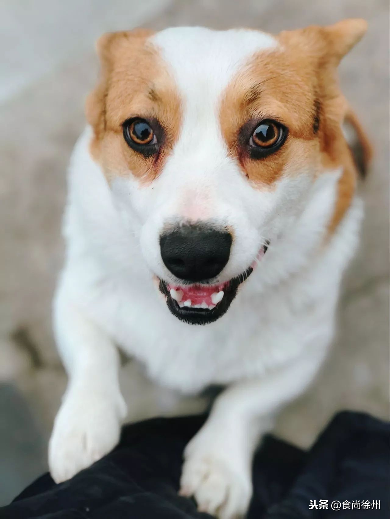 徐州藏在巷子的美食,徐州藏在巷子里的美食盘点