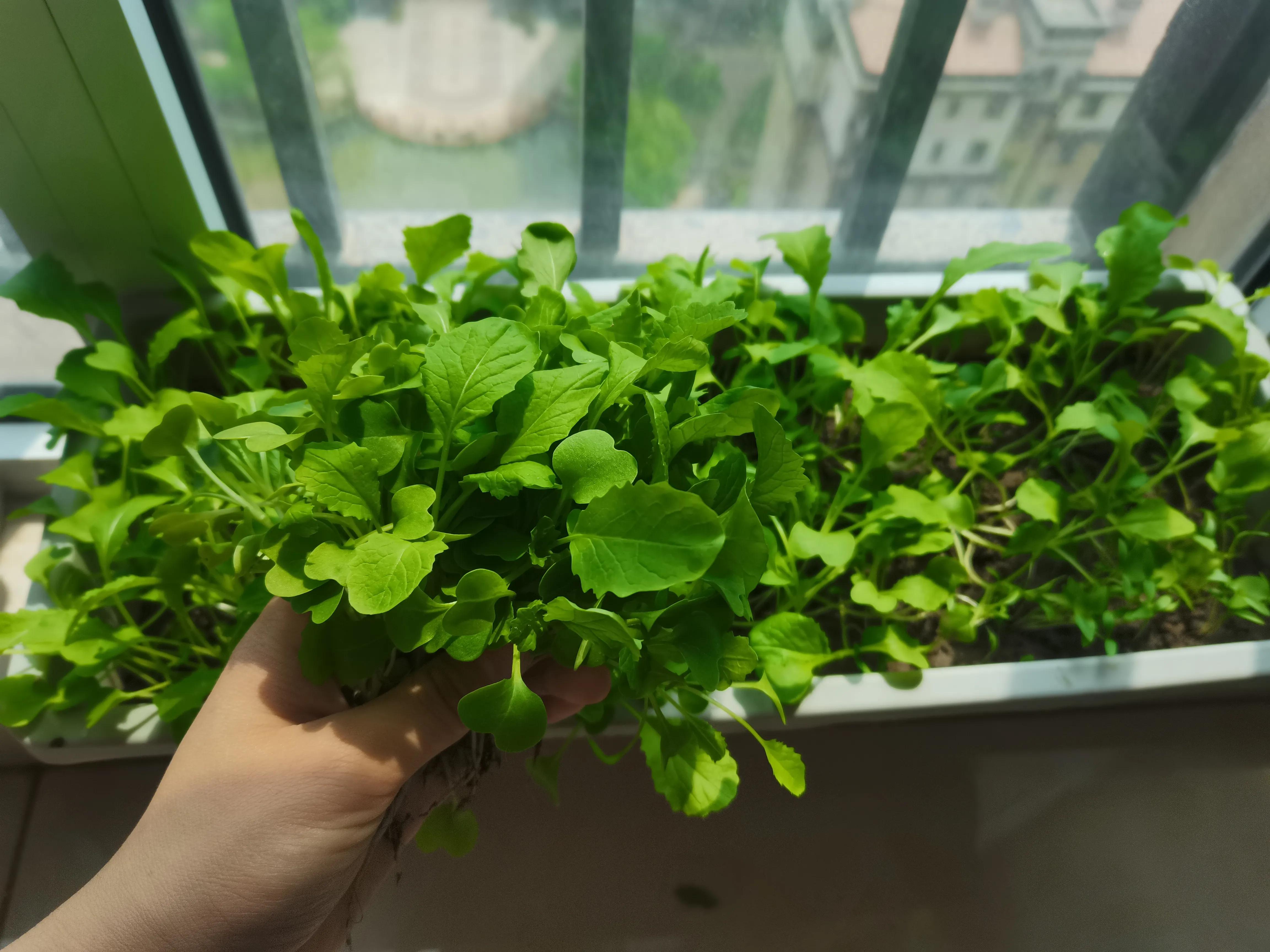 不要放弃农村的宅基地,不要放弃农村自己的宅基地