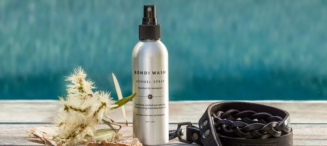 我吃火锅烧烤从来不怕身上臭！因为有它们散味呀~