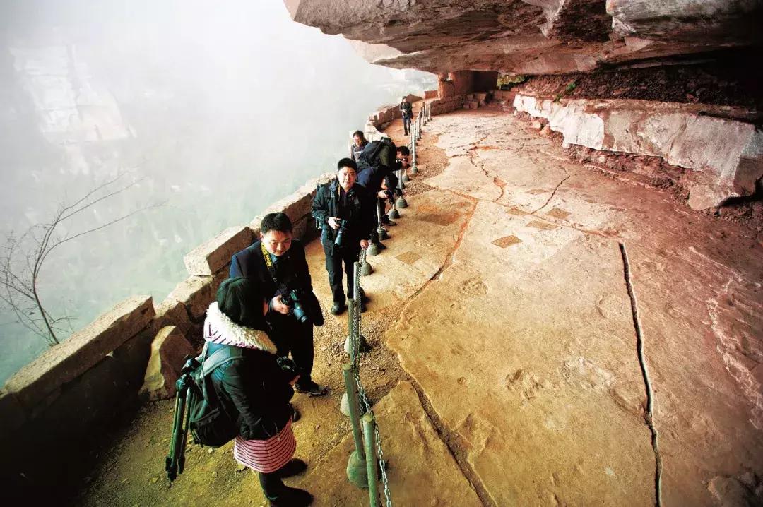 快去綦江的莲花保寨看看，那儿发生了一件事儿