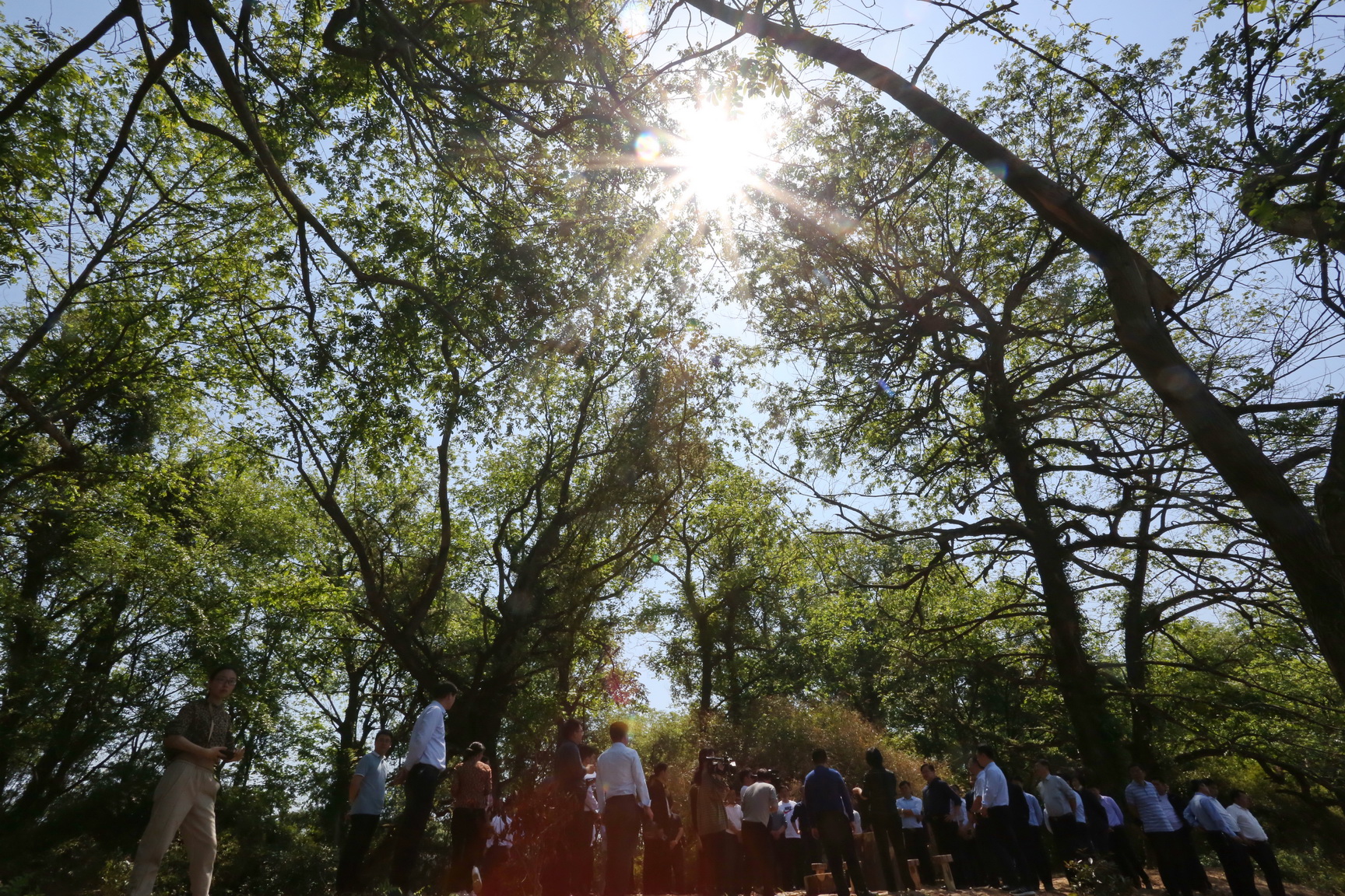 江西省山清水秀自然美景好地方,金溪镇山清水秀好风景