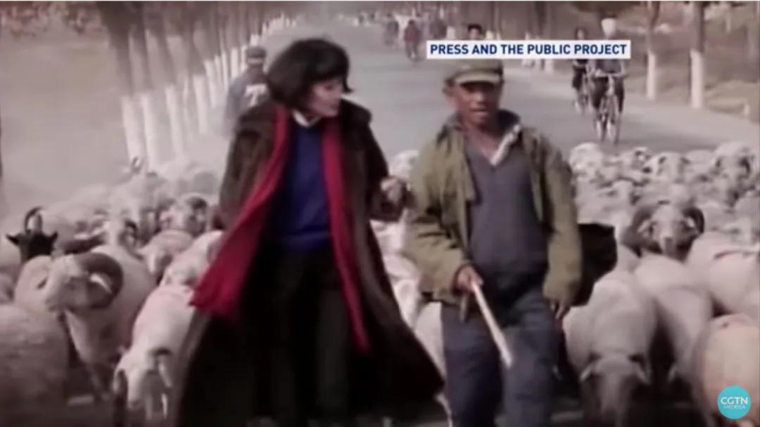 羽西年轻时的照片,十年前羽西