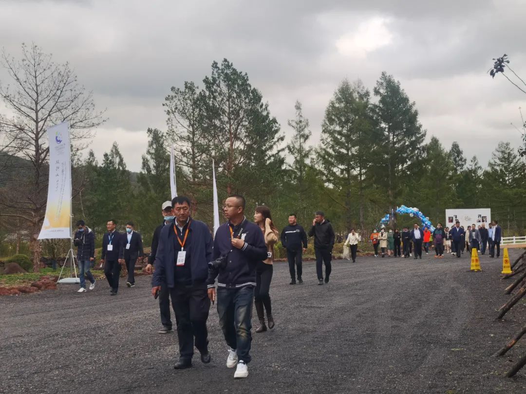 大美宝清是什么,大美宝清夜景很美