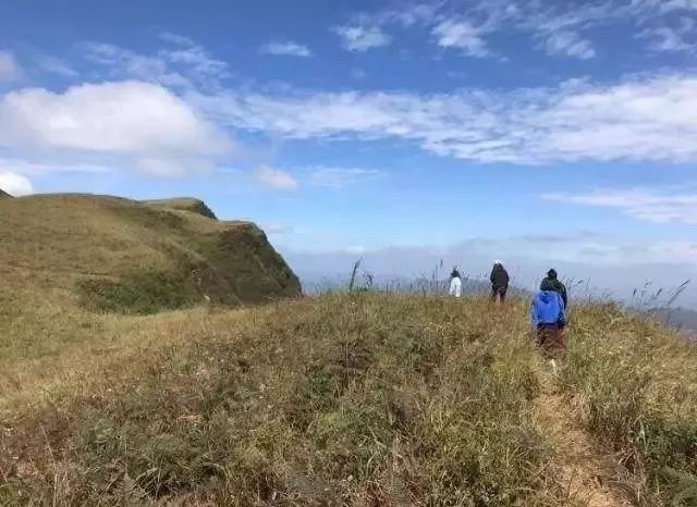 2019年十大流行语你知道几个,有多少人现在才明白这句话