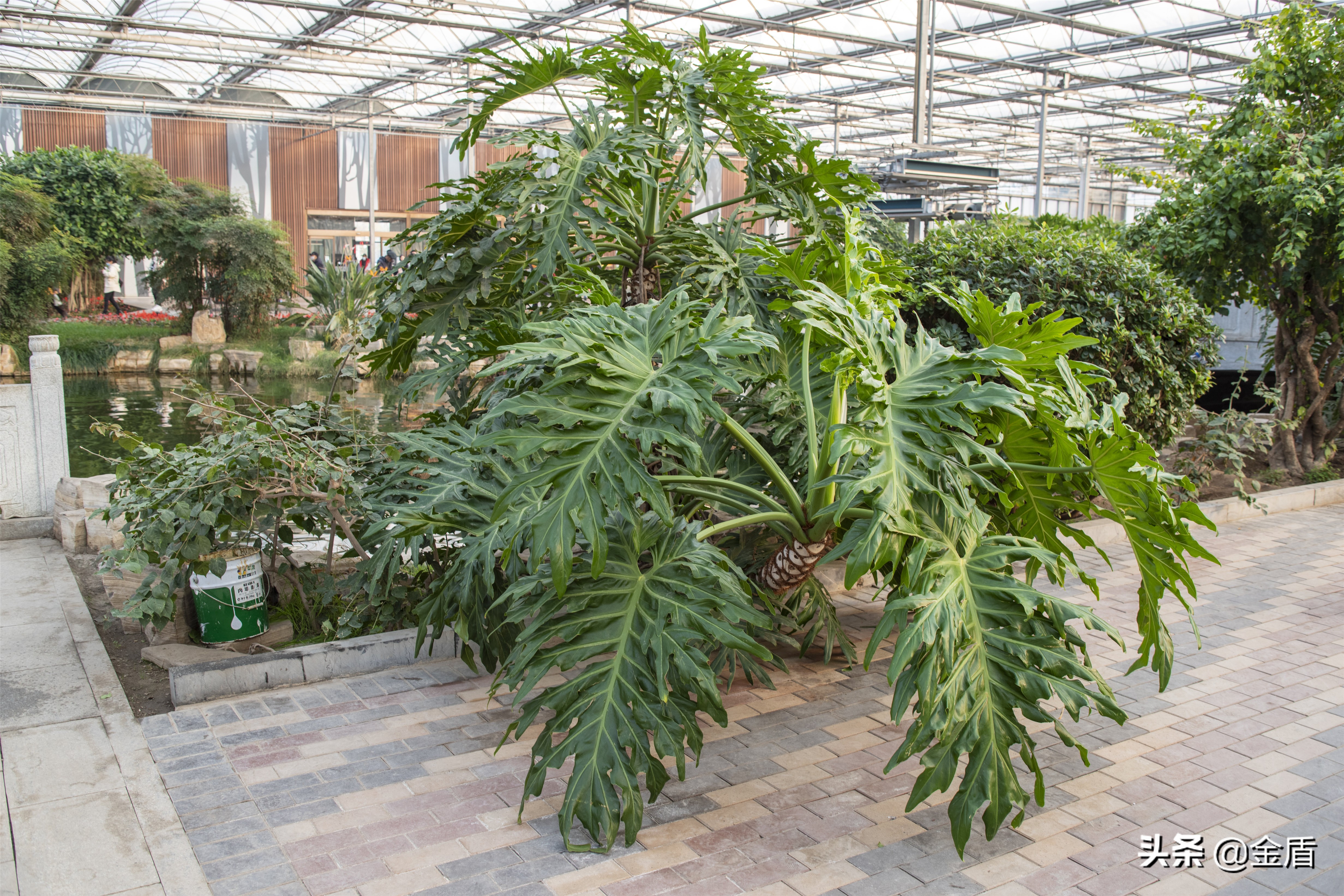 九天休闲谷好玩吗,九天休闲谷冬天开吗