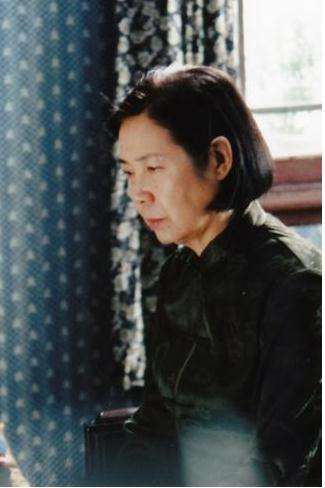 彭小莲纪录片,彭小莲导演上海三部曲