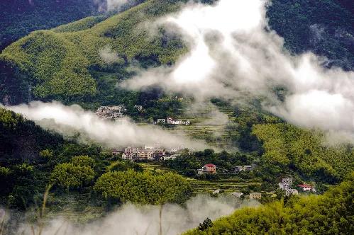 临安新鲜竹笋哪部分能吃,临安笋能生吃