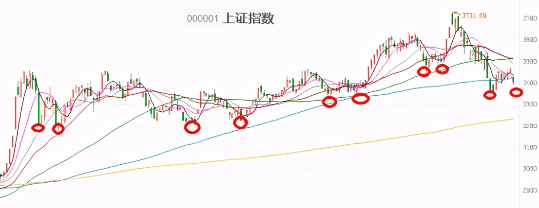 实操：牛基都跌了10-20%，该怎么补仓、换仓？