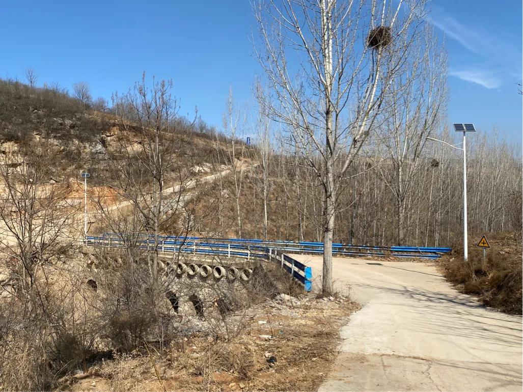 龙泉山庄春节,2022春节龙泉山庄好玩吗