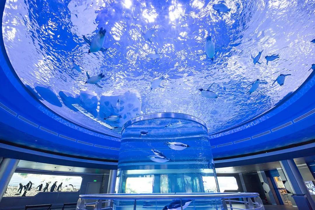 推荐最好玩的乐园,有没有值得玩的地方推荐一下