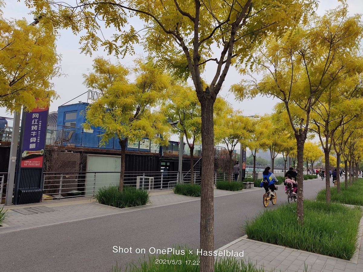 一加9手机耐用吗,一加9手机优缺点