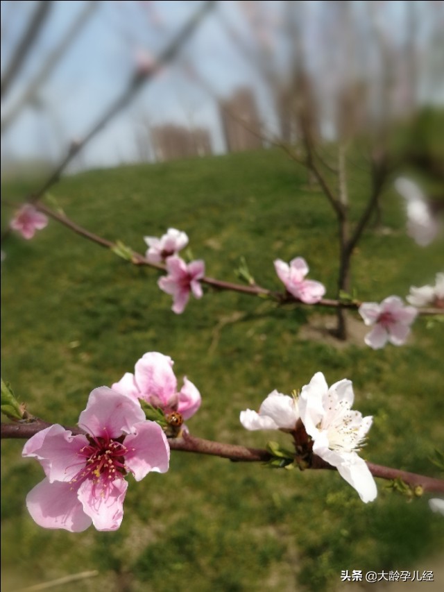 小儿湿疹严重有没有好办法,小儿湿疹需要注意什么