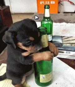 搞笑gif铁砂掌,铁砂掌传人一掌劈开十块砖头