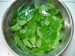 青草薄荷制作成薄荷茶,怎么用薄荷做薄荷茶水