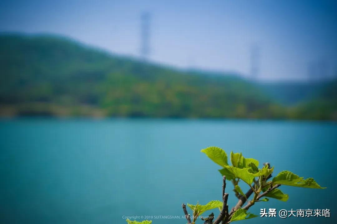 2020江苏省最美乡村道路评选结果,中国十大美丽乡村南京